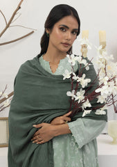 Winter Collection - Lakhany - Pashmina Shawl Edition - LG-ZH-0071-B