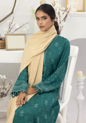 Winter Collection - Lakhany - Pashmina Shawl Edition - LG-EA-0476-A