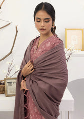 Winter Collection - Lakhany - Pashmina Shawl Edition - LG-ZH-0071-A