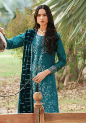 Winter - Parishay - Panache - Palachi Shawl 25 - PNE#03