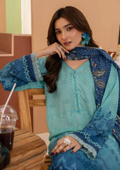 Winter - Rajis Clothing - Aday-e-Hasan - Linen Viscose Edition 26 - RJ#03