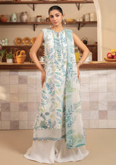 Lawn - Humdum - Senora - HSL25#03