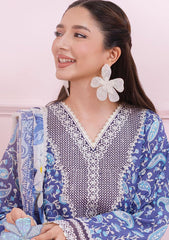 Lawn - Qalamkar - Q Prints 25 - Vol II - QLM#10-A