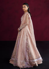 Formal Collection - Republic Womenswear - Pieno De Verde - D#3 - Orsa