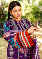 Winter Collection - Bin Ilyas - Maya Jahan - D#761 B