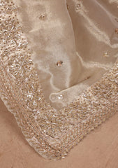 Formals - Bahawalpur Pehnawa - Masuri Gota Work - 2 Piece - D#05