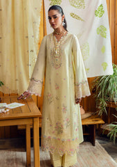 Lawn - Qalamkar - Qlinekari 25 - DC#04 - Keva