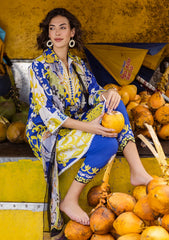 Lawn - Mushq - Hemline - La Dolce - Prints - D#3B - Mirella