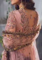 Formal Collection - Rubaaiyat - Wedding Edit 24 - Tea Pink