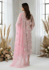Formals - Riwaj - Fancy Net - 2 Pcs Suit - D#01 - Pink