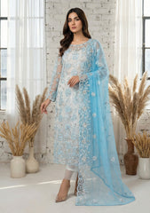 Formals - Riwaj - Fancy Net - 2 Pcs Suit - D#01 - Sky Blue