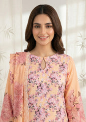 Lawn - Rubaaiyat - Chikankari 26 - Organza Dupatta - D#02 - Peach