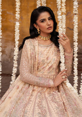 Formal Collection - Zarif - Shehnai - Wedding - ZR25#03 - Heer