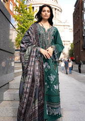 Winter - Al Zohaib - Wintry Breeze - WB-26#04