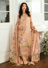 Formals - Mushq - Shaam Shandar - Chiffon 25 - TARANNUM