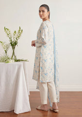 Formals - Rubaaiyat - Shamoz Silk 26 - RSS#02 - Smoke Grey