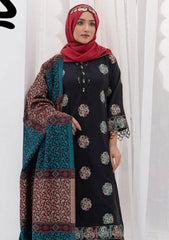 Winter Collection - Riaz Arts - DastKari23 - D#13