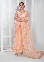 Formals - Imran Aftab - Lux Wedding - Saree 25 - IASC#31