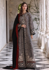 Winter - Noor by Saadia Asad - Pashmina Shawl 25 - NSP#01 - Noir Safari