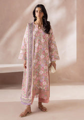 Winter - Raha - Chikankari Karandi 26 - RCK#04