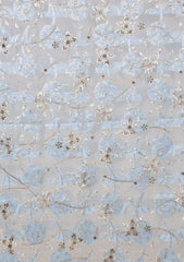 Formals - Riwaj - Fancy Net - 2 Pcs Suit - D#01 - Sky Blue