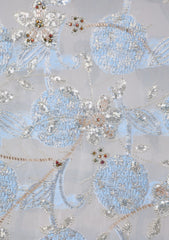 Formals - Riwaj - Fancy Net - 2 Pcs Suit - D#01 - Sky Blue
