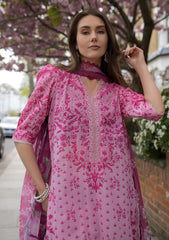 Lawn - Sobia Nazir - Basics 25 - SNBS#1A