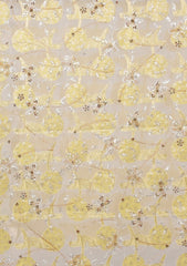 Formals - Riwaj - Fancy Net - 2 Pcs Suit - D#01 - Yellow