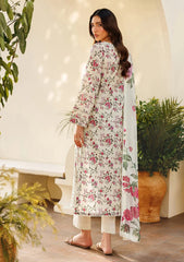 Pret - Zarif - Amani Eid 26 - ZL-RTW#08 - BARIH