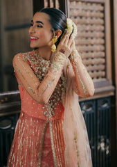 Formal Collection - Roheenaz - Pehli Si Muhabbat - Wedding - Shafaq