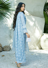 Lawn - Banafsheh - Chikankari Luxury 25 - BN-304