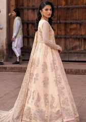 Formal Collection - Zarif - Shehnai - Wedding - ZR25#03 - Heer