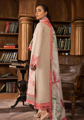Winter Collection - Rang Rasiya - Carnation Khaddar Shawl - Hannah - D#01