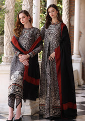 Winter - Noor by Saadia Asad - Pashmina Shawl 25 - NSP#01 - Noir Safari