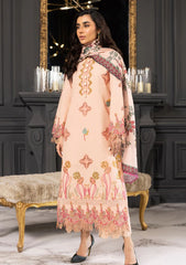 Winter Collection - Rang Rasiya - Carnation Khaddar Shawl - Zimal - D#04