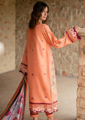 Lawn - Roheenaz - Summer Reverie - Luxury 25 - ORELIA