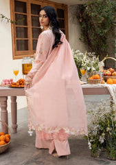 Lawn - Naqsh - Chikankari Festive 26 - D#00194 - Peach Blossom
