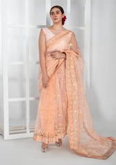 Formals - Imran Aftab - Lux Wedding - Saree 25 - IASC#31