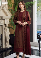 Winter Collection - Asim Jofa - Rang-e-Noor - AJRN#14