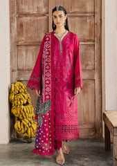 Lawn - Nureh - Bazaar - Embroidered Chikankari 26 - NE#255
