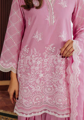 Lawn - Sahar - Festive Chikankari - CK-25-V1-07 - Mulberry Muse