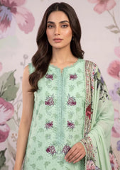 Winter - Humdum - Laiba 26 - D#02