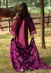 Winter - Parishay - Panache - Palachi Shawl 25 - PNE#04