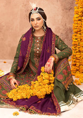 Winter Collection - Bin Ilyas - Laal - Luxury - BL#1513-A