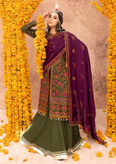 Winter Collection - Bin Ilyas - Laal - Luxury - BL#1513-A