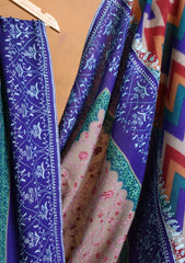 Pashmina Kashmiri Jaaldar Shawl D#152 - Multi