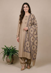 Winter - Riwaj - Pashmina Kashmiri Needle 3 Pcs Suit - D#01 - Brown