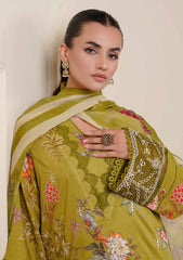 Lawn - Johra - Zunaira 26 - JH#1162