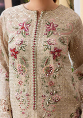 Formals - Sahane - Haye Dil - Wedding 25 - D#04 - Veil of Romance