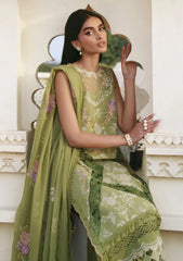 Lawn - Parishay - Shangrila 26 - SLA#04